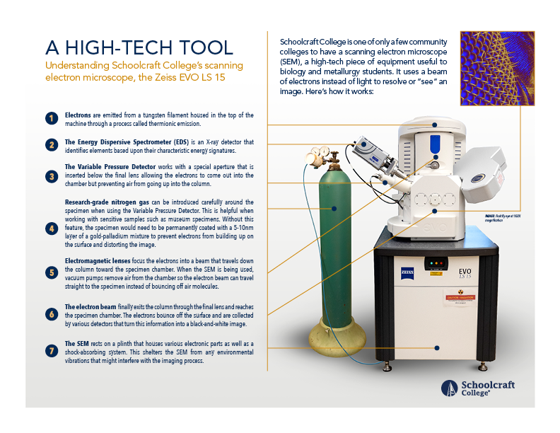 Infographic pointing out the microscope features