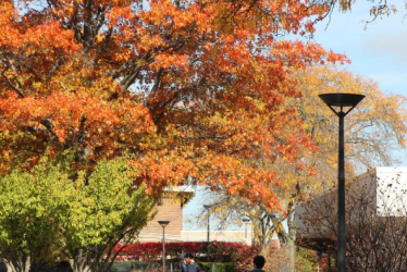 Fall on campus