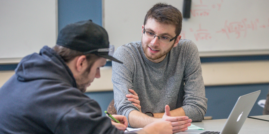 Two students studying