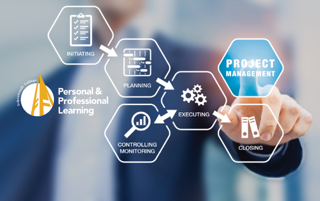 Infographic depicting the roles of project management