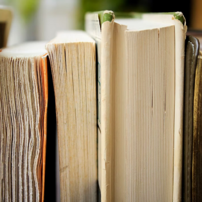 books on shelf