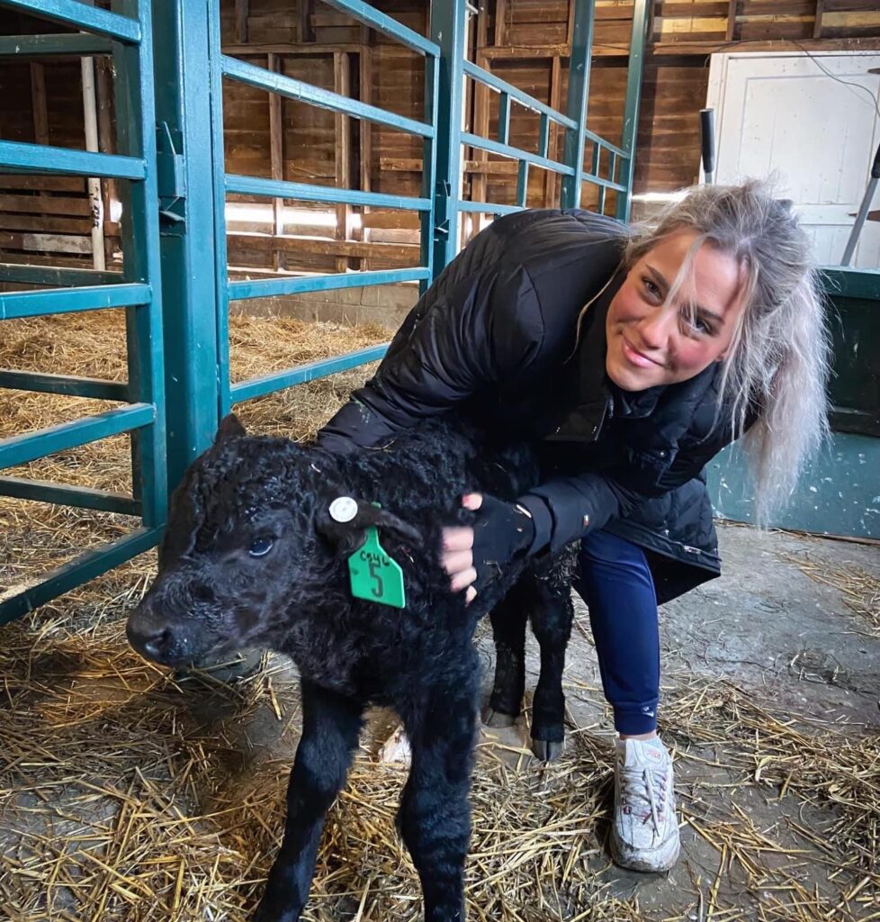 Ava next to a baby cow