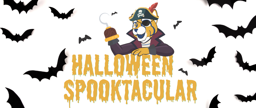 cat dressed as a pirate, bats flying