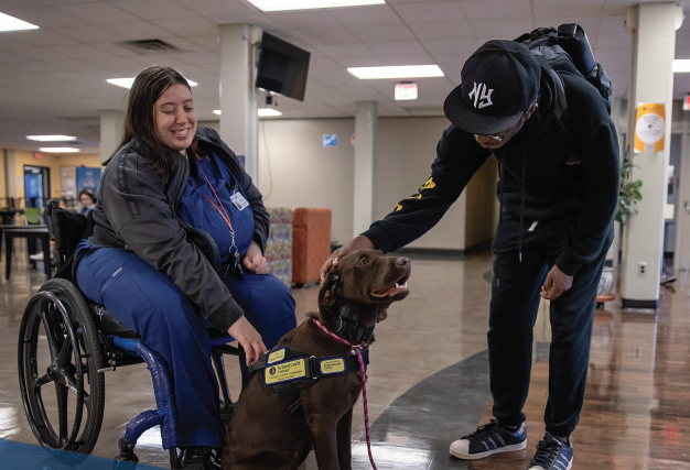students petting a dog