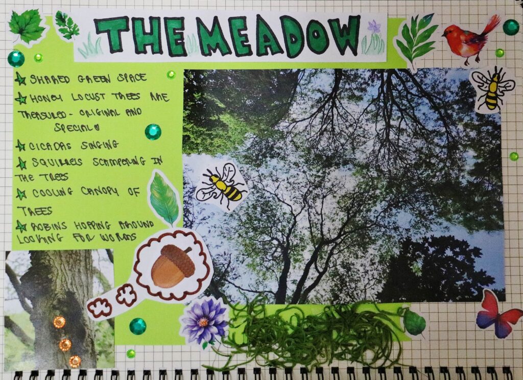 journal page of images and handwritten notes