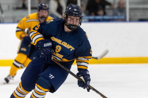 hockey player skating