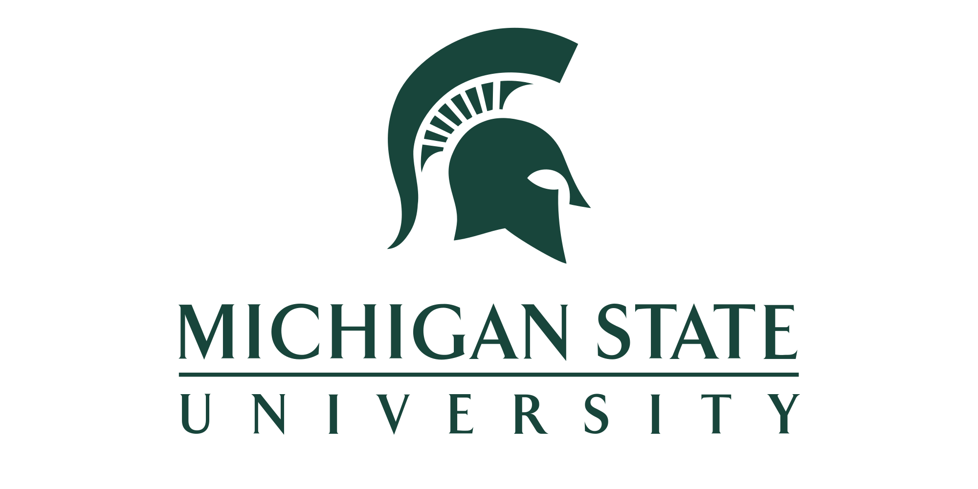 michigan state university