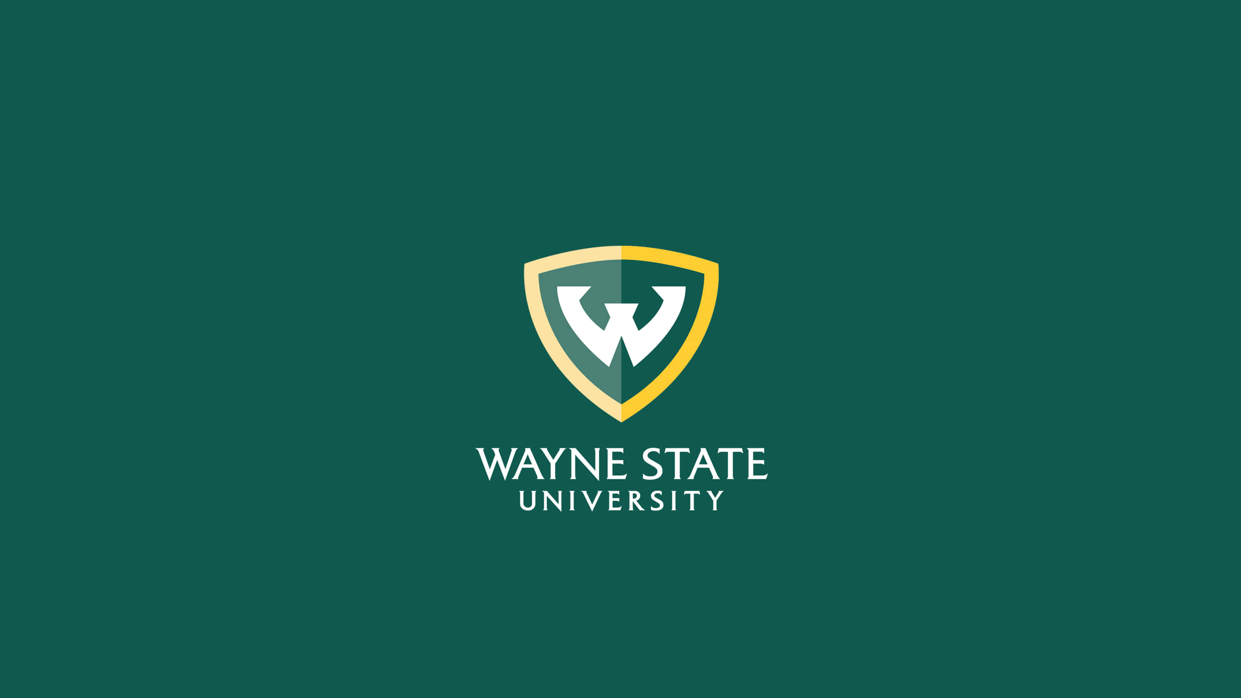 wayne state university